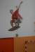 Photo Number 7