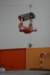 Photo Number 8