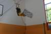 Photo Number 8