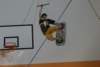 Photo Number 9