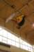 Photo Number 8